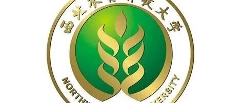 紧跟其后！陕西又一985成立人工智能与机器人学院